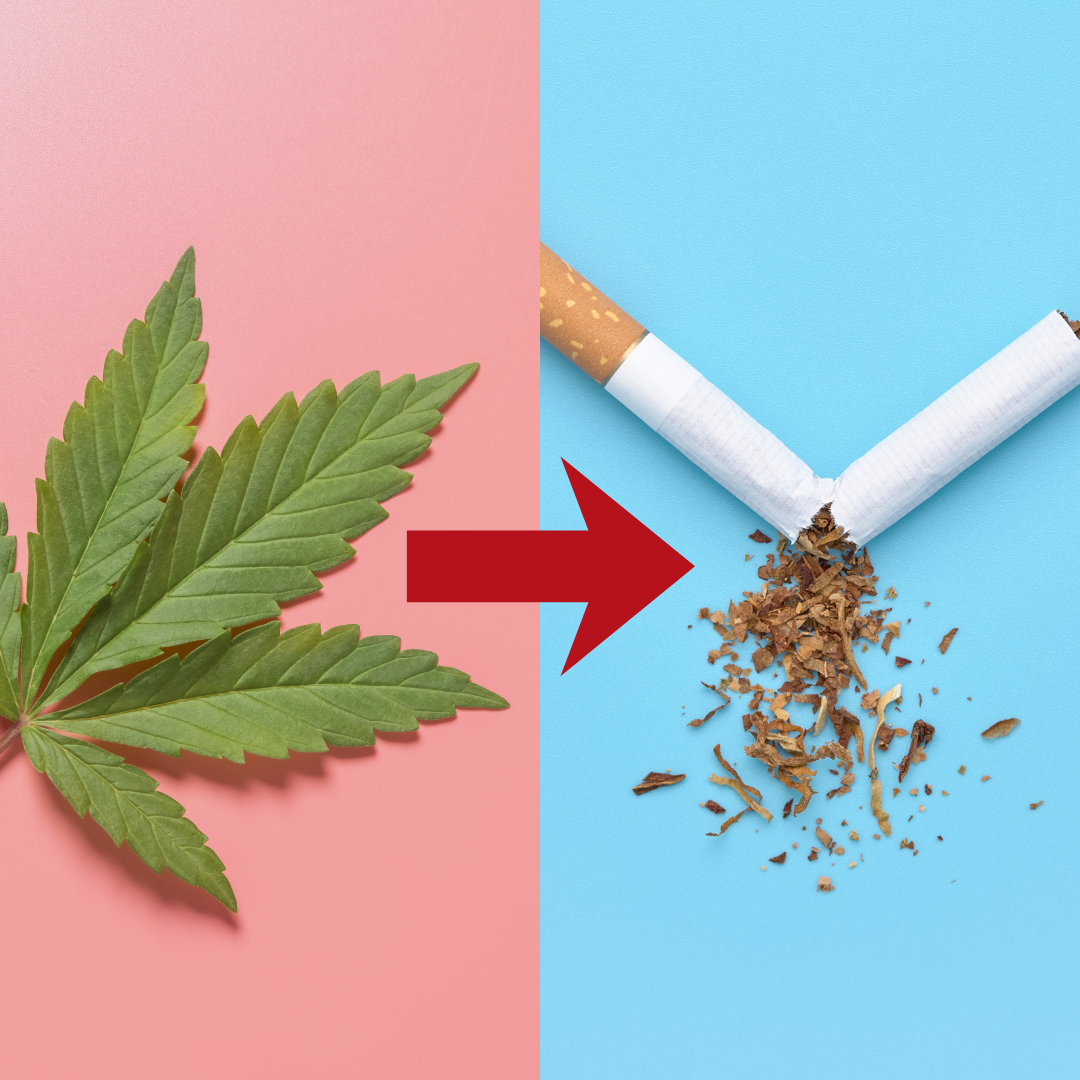 tobacco in weed From Weed to Nicotine: What New Research Reveals About Teen Risk